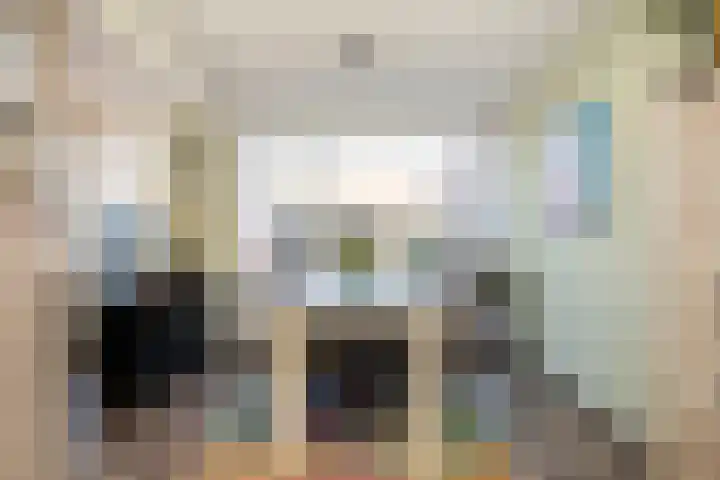 Old Ruitenborgh 28 Hengelo thumbnail 15