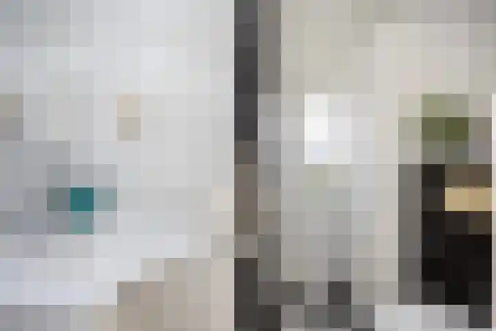 Old Ruitenborgh 28 Hengelo thumbnail 24