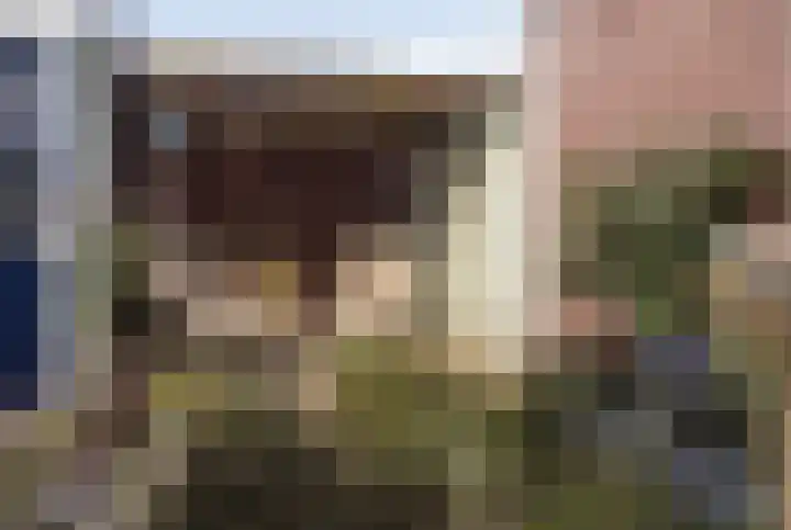 Old Ruitenborgh 28 Hengelo thumbnail 30