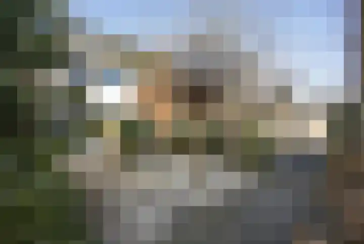 Old Ruitenborgh 28 Hengelo thumbnail 37