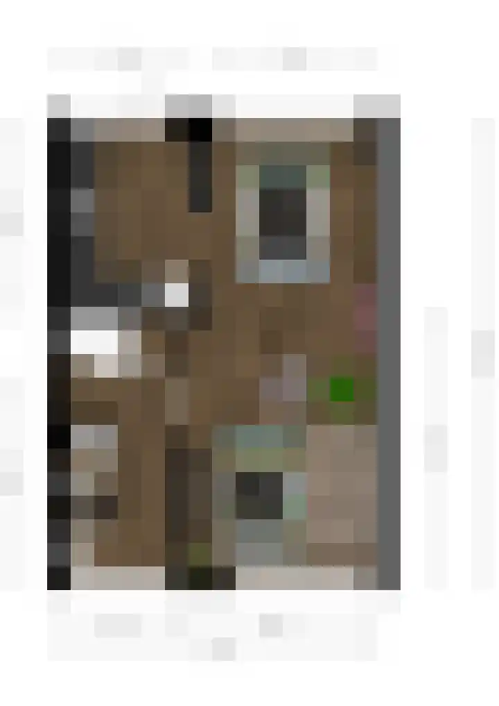Old Ruitenborgh 28 Hengelo thumbnail 39