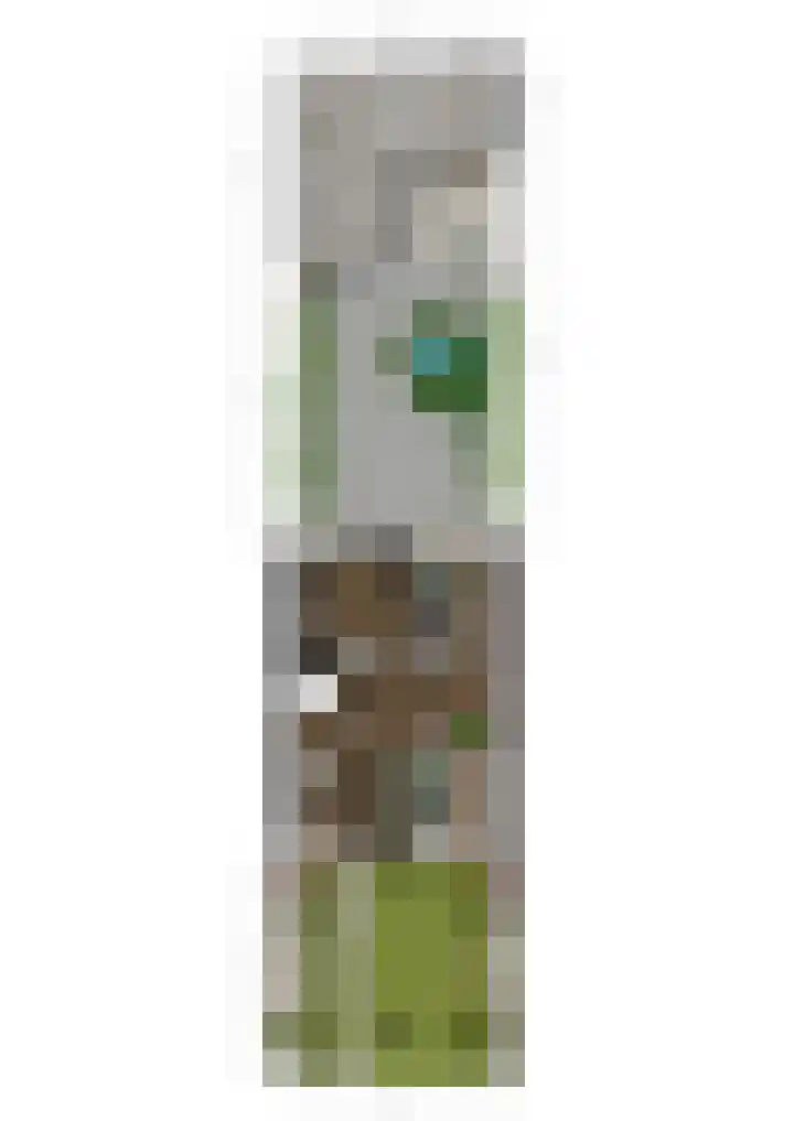 Old Ruitenborgh 28 Hengelo thumbnail 43