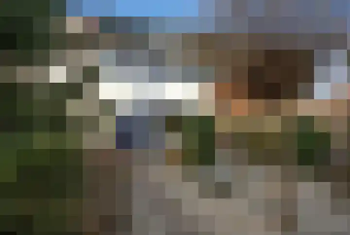 Old Ruitenborgh 28 Hengelo thumbnail 6