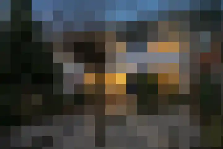 Old Ruitenborgh 28 Hengelo thumbnail 7