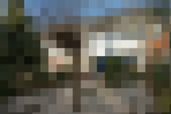 Old Ruitenborgh 28 Hengelo thumbnail 8