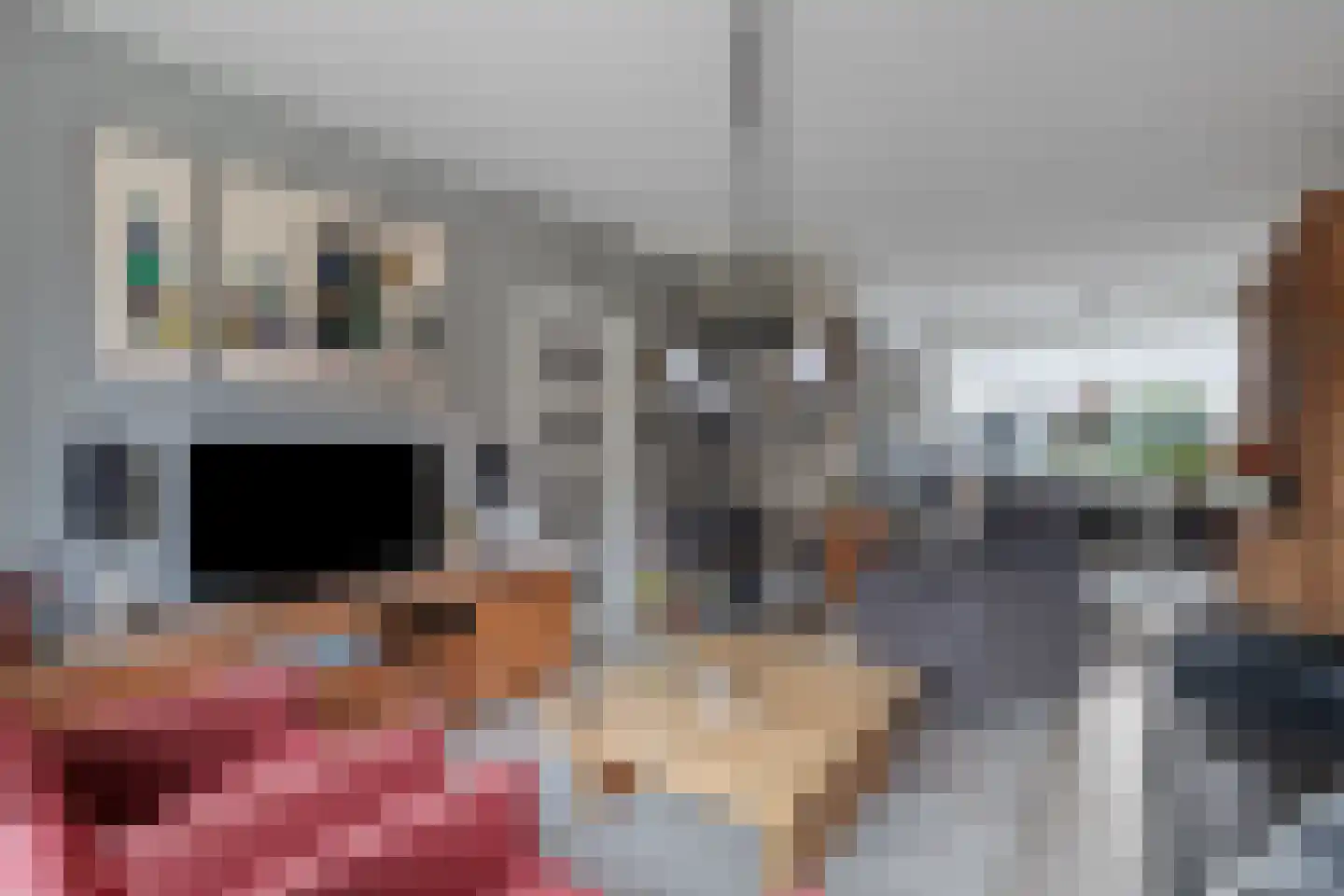 Old Ruitenborgh 34 Hengelo thumbnail 11