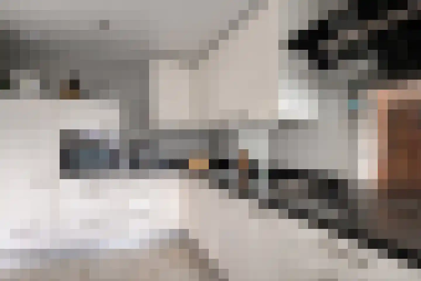 Old Ruitenborgh 34 Hengelo thumbnail 15