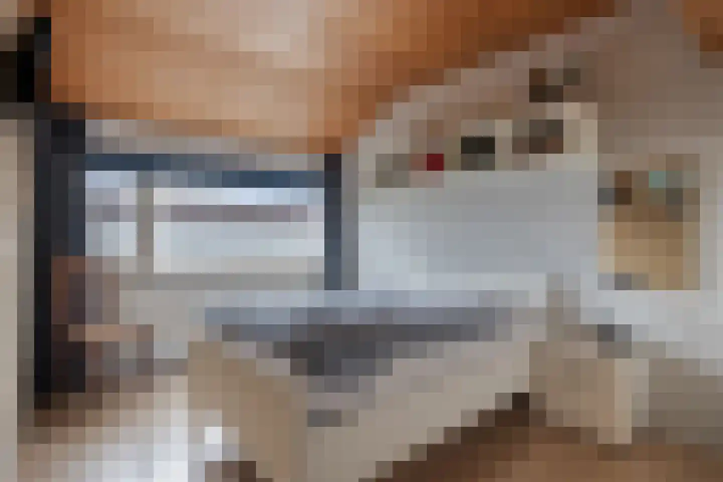 Old Ruitenborgh 34 Hengelo thumbnail 17
