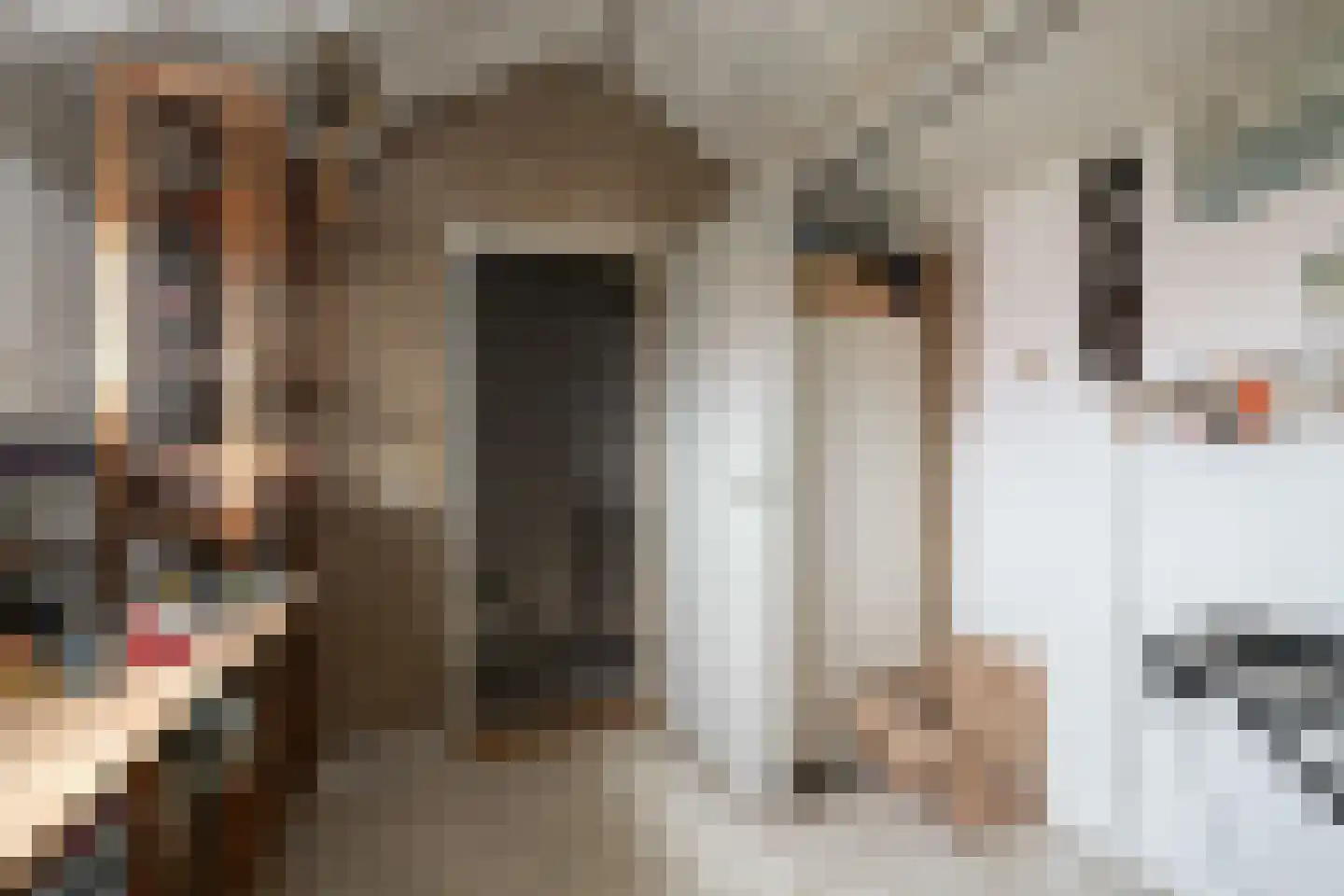 Old Ruitenborgh 34 Hengelo thumbnail 27