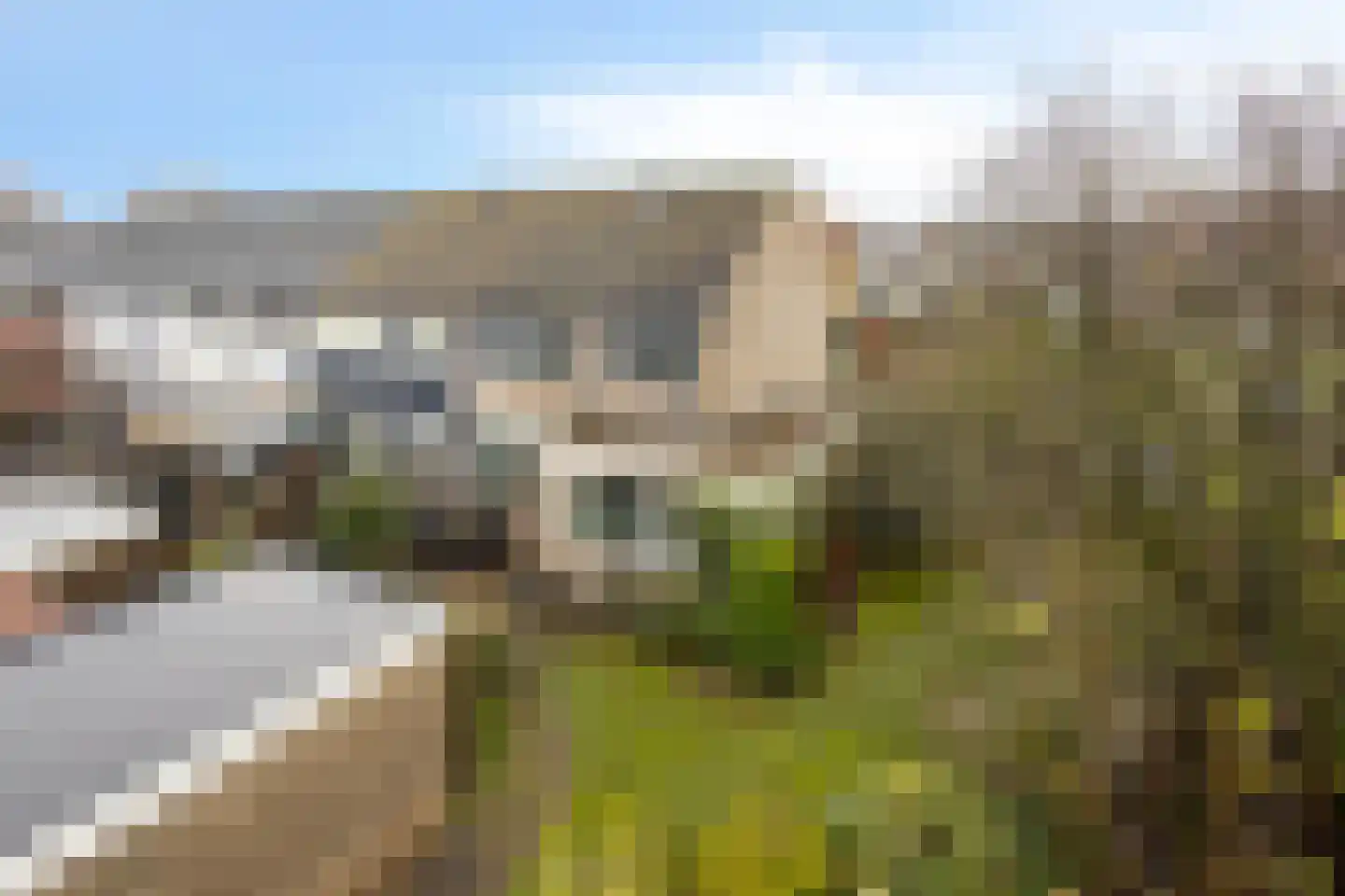Old Ruitenborgh 34 Hengelo thumbnail 28
