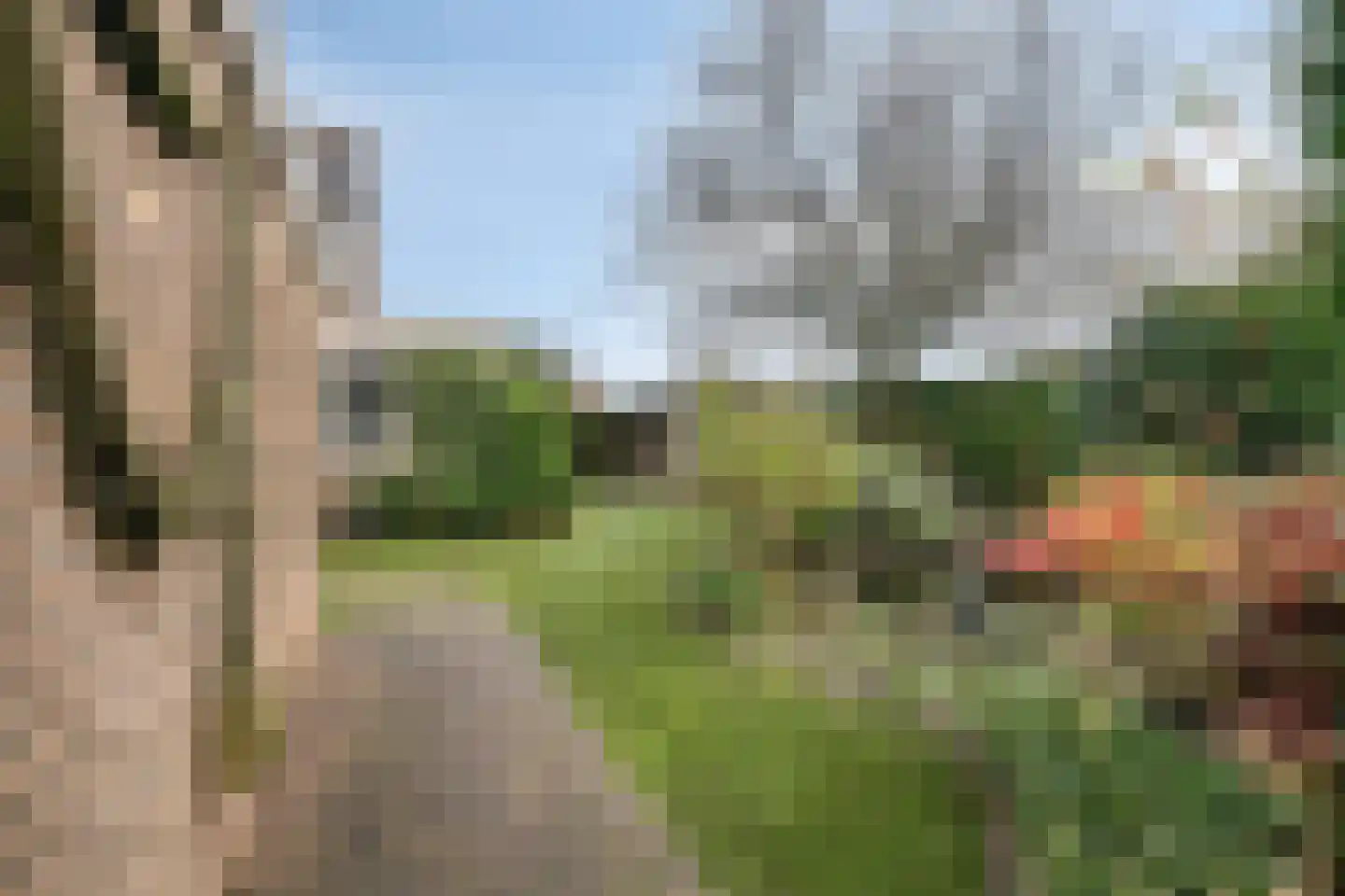 Old Ruitenborgh 34 Hengelo thumbnail 29