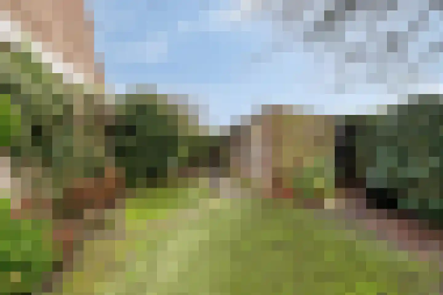 Old Ruitenborgh 34 Hengelo thumbnail 30