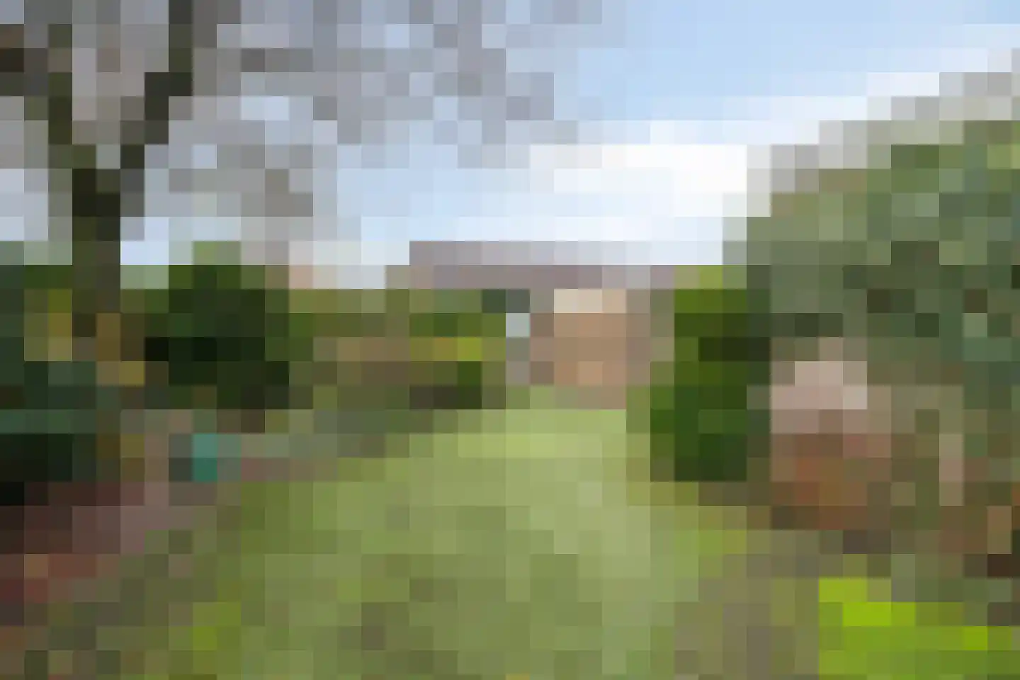 Old Ruitenborgh 34 Hengelo thumbnail 31