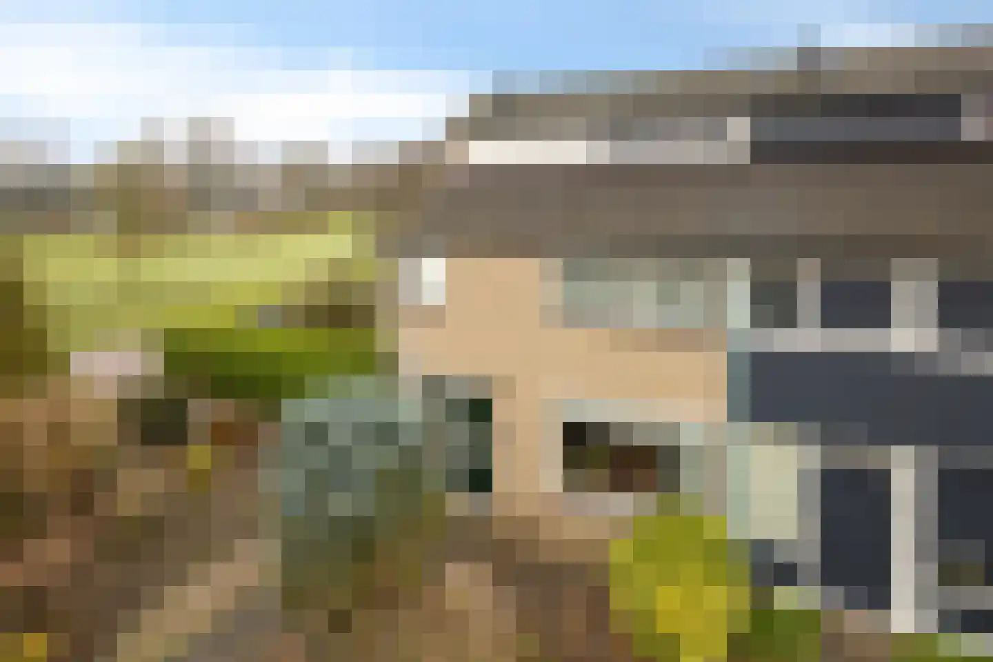 Old Ruitenborgh 34 Hengelo thumbnail 7