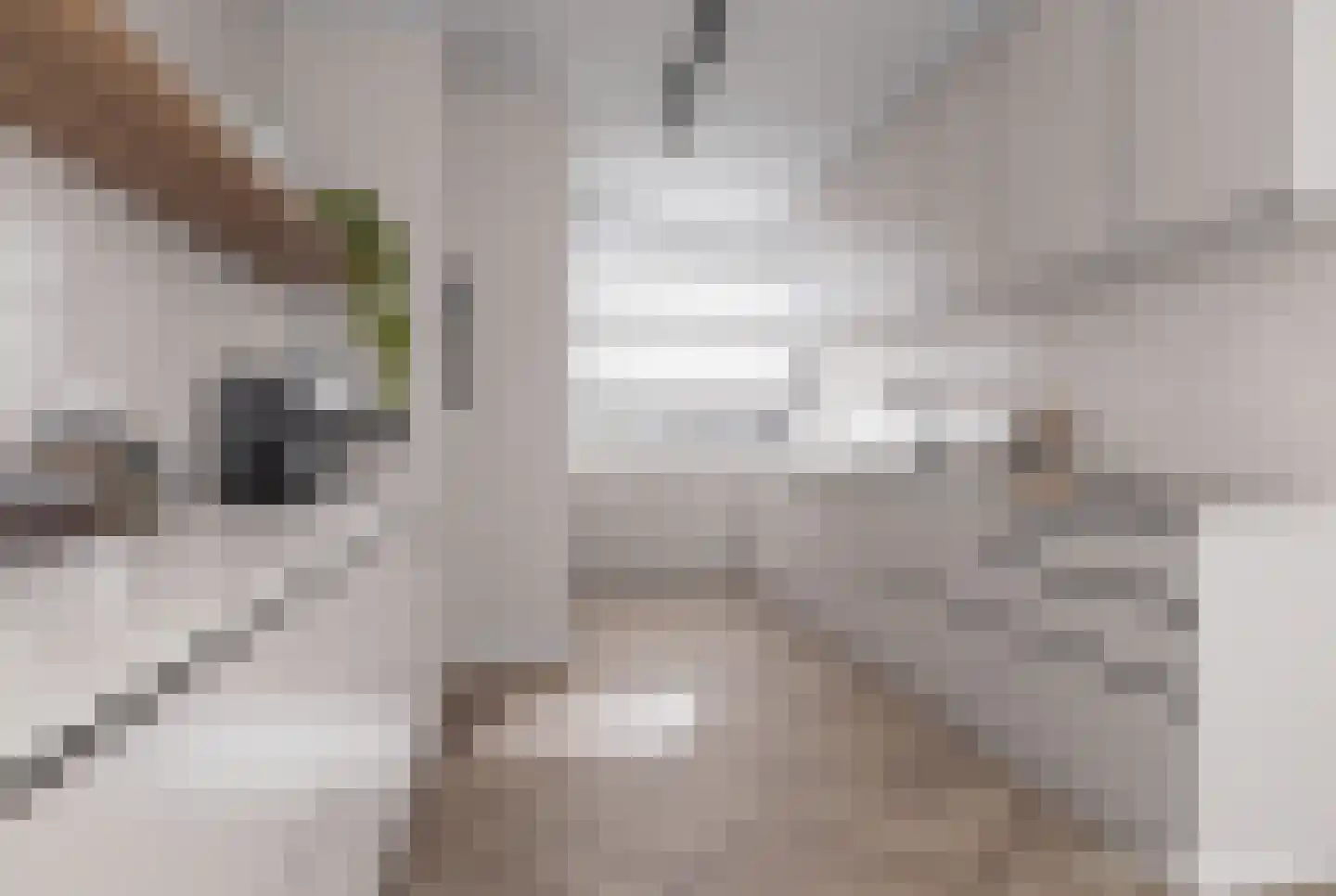 Oldambt 2 A Utrecht thumbnail 14