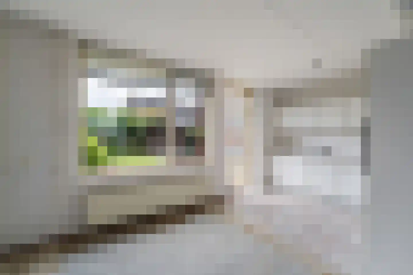 Oldambt 21 Emmeloord thumbnail 20