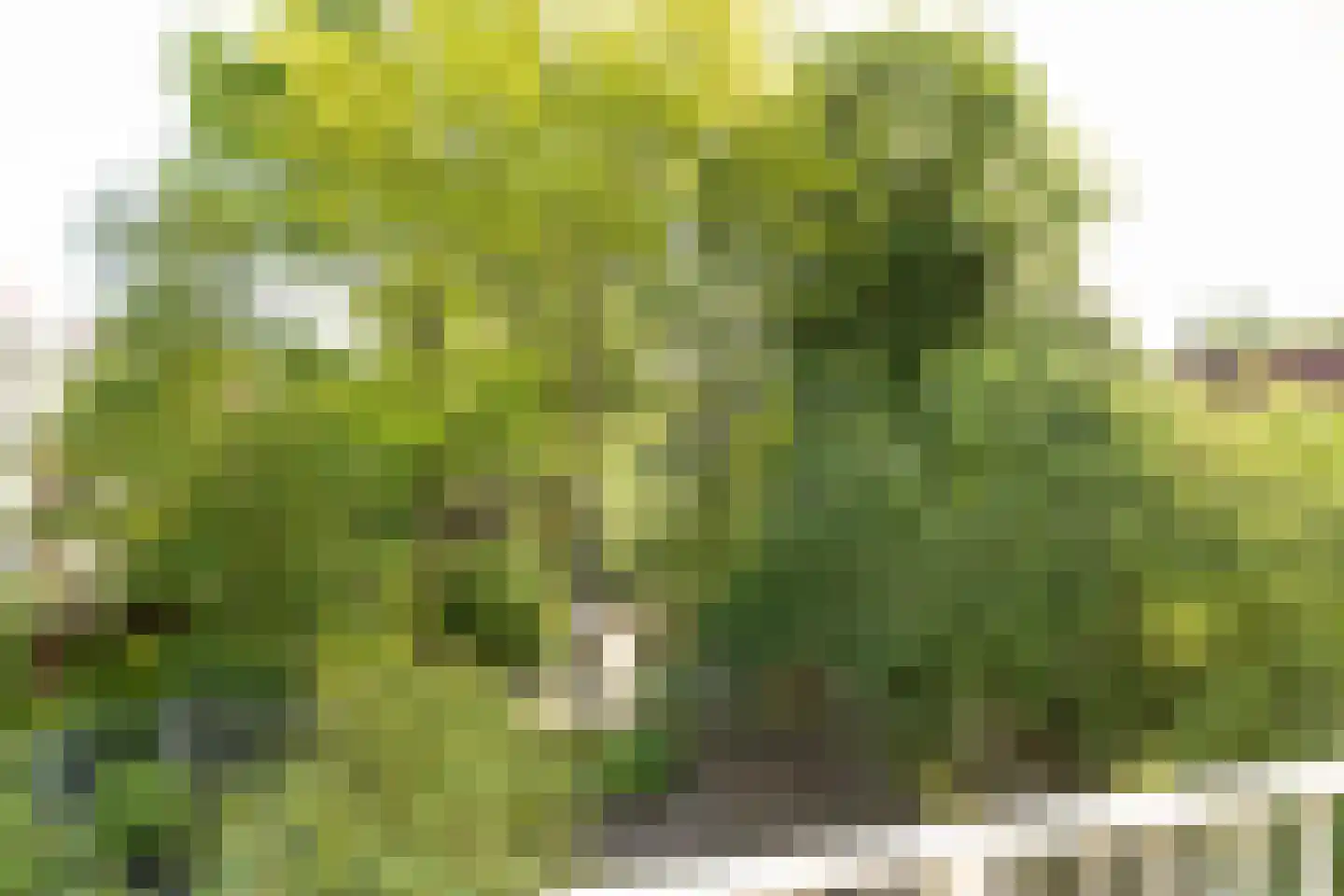 Oldambt 23 Utrecht thumbnail 21
