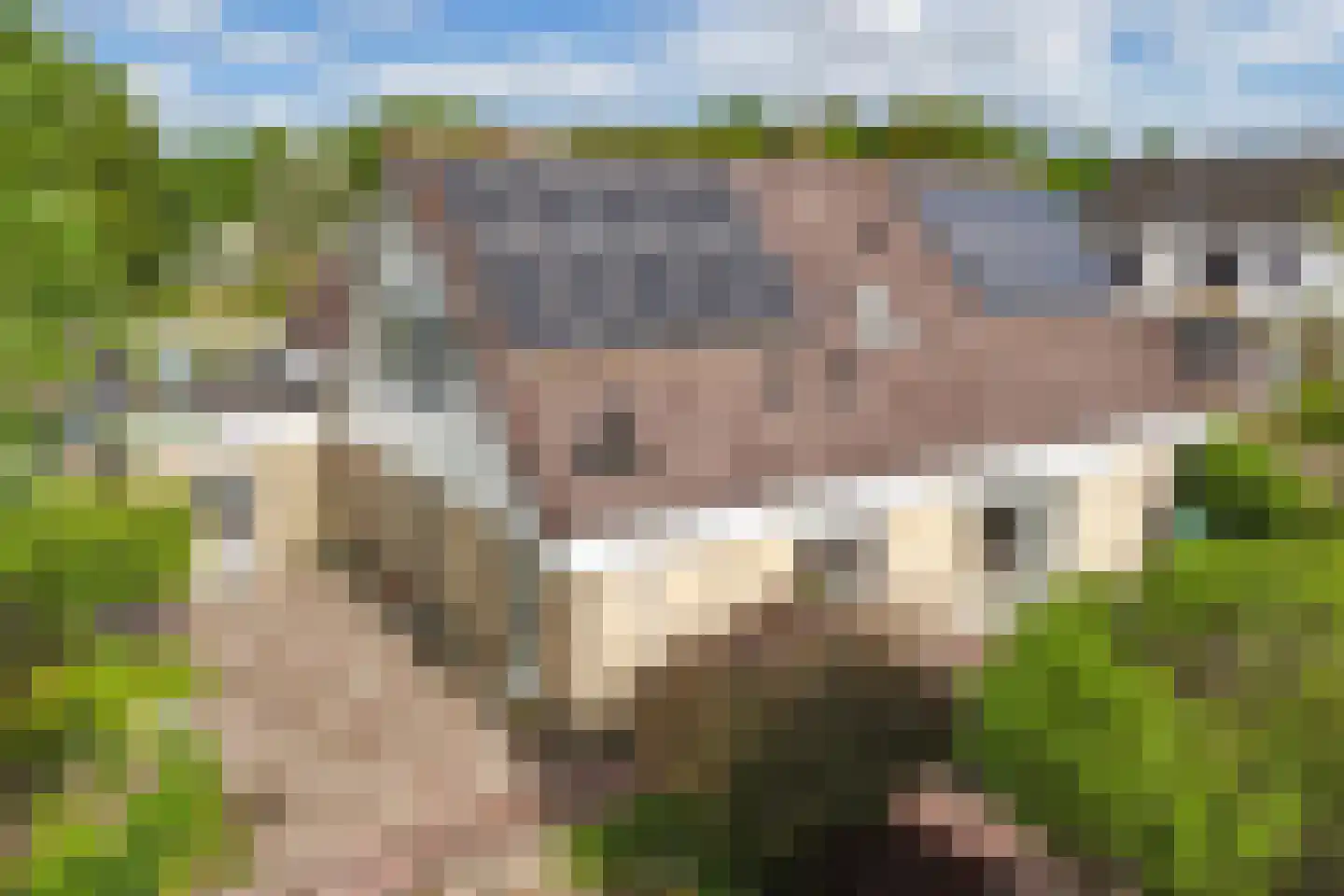 Oldambt 24 Emmeloord thumbnail 48