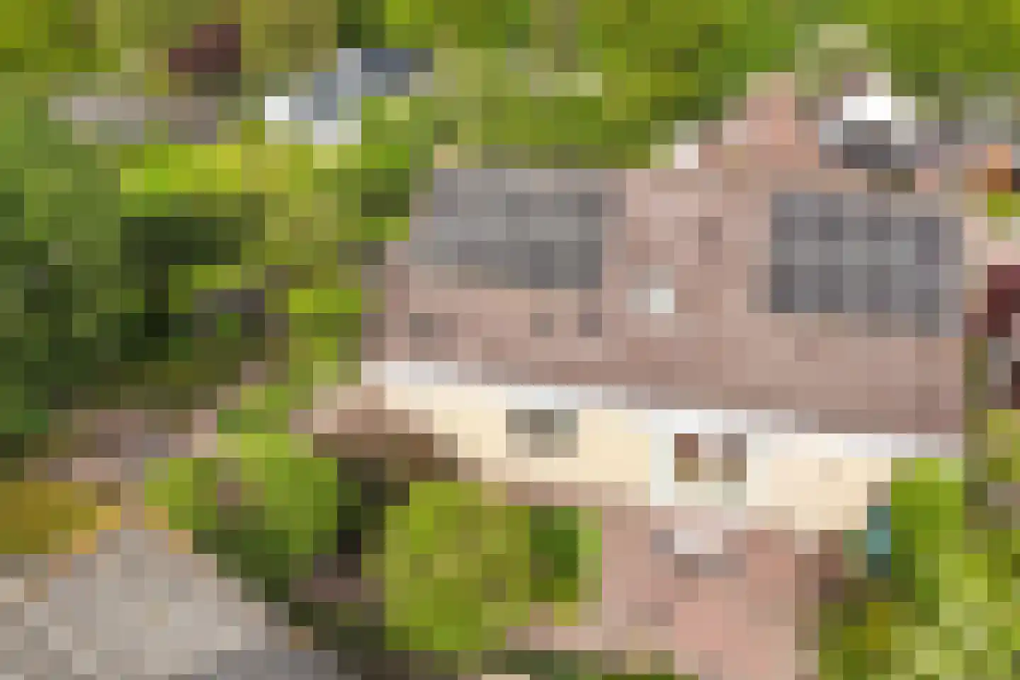 Oldambt 24 Emmeloord thumbnail 49