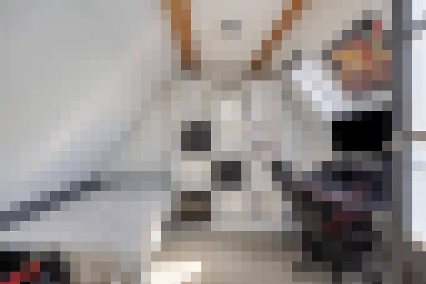 Oldambt 29 Emmeloord thumbnail 29