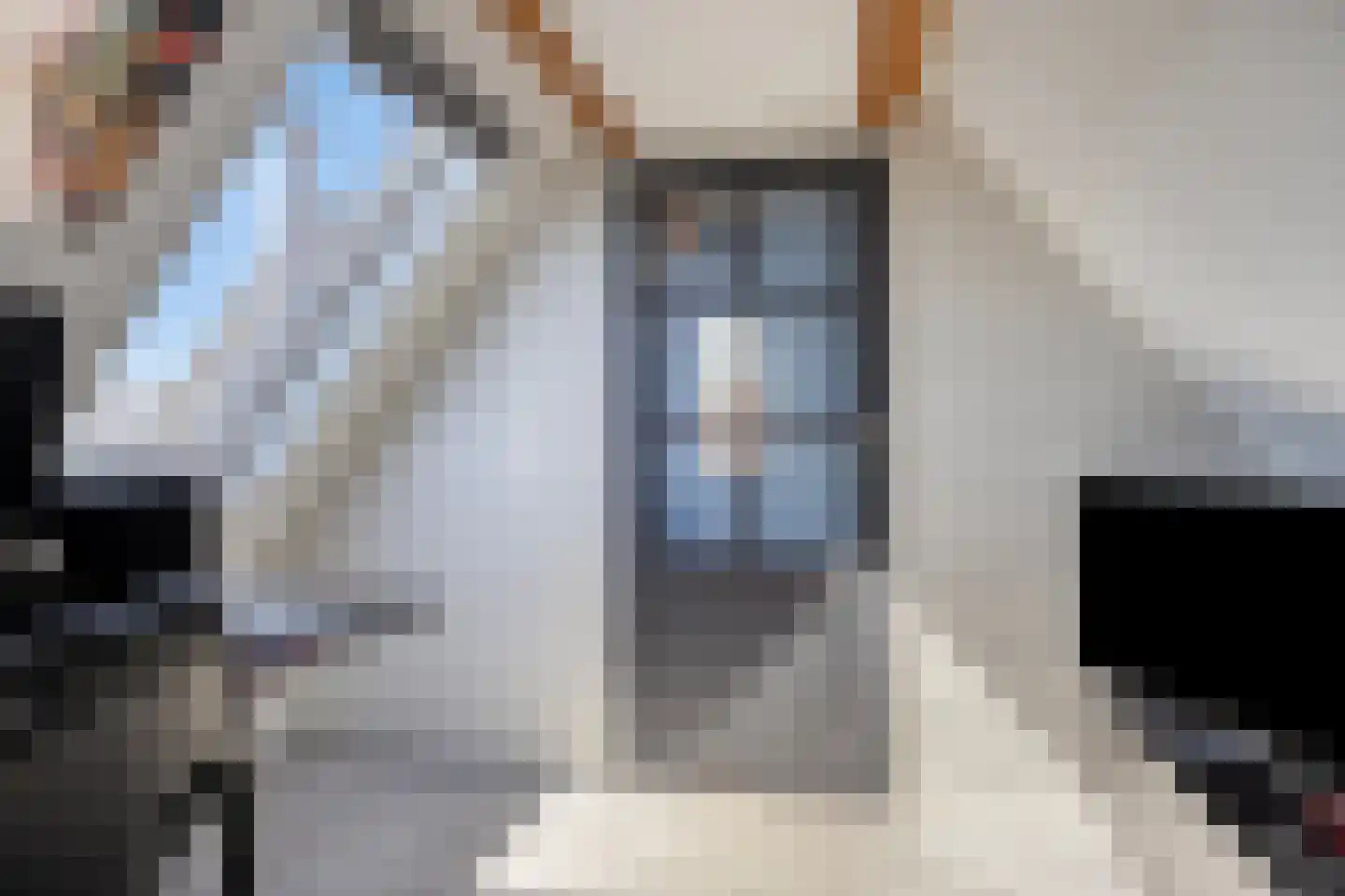 Oldambt 29 Emmeloord thumbnail 30