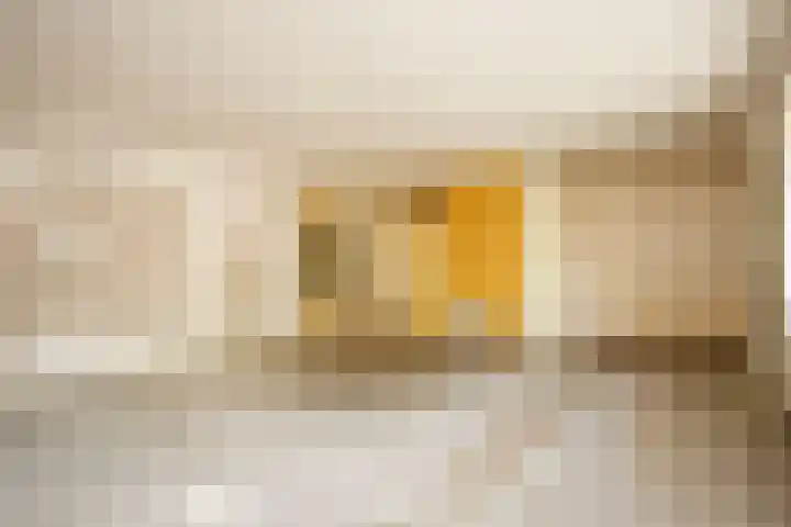 Oldambt 39 Utrecht thumbnail 12