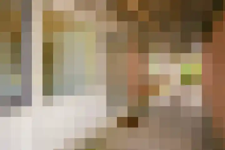Oldambt 39 Utrecht thumbnail 5