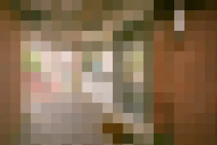 Oldambt 39 Utrecht thumbnail 6
