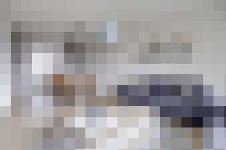 Oldambt 4 A Utrecht thumbnail 10