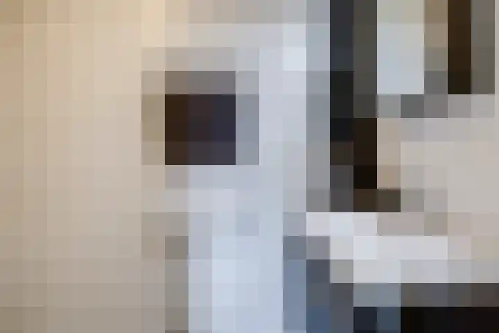Oldambt 4 A Utrecht thumbnail 29