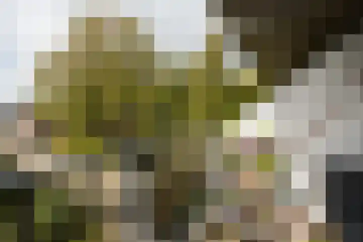 Oldambt 4 A Utrecht thumbnail 35