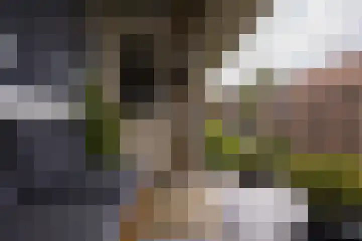 Oldambt 4 A Utrecht thumbnail 36