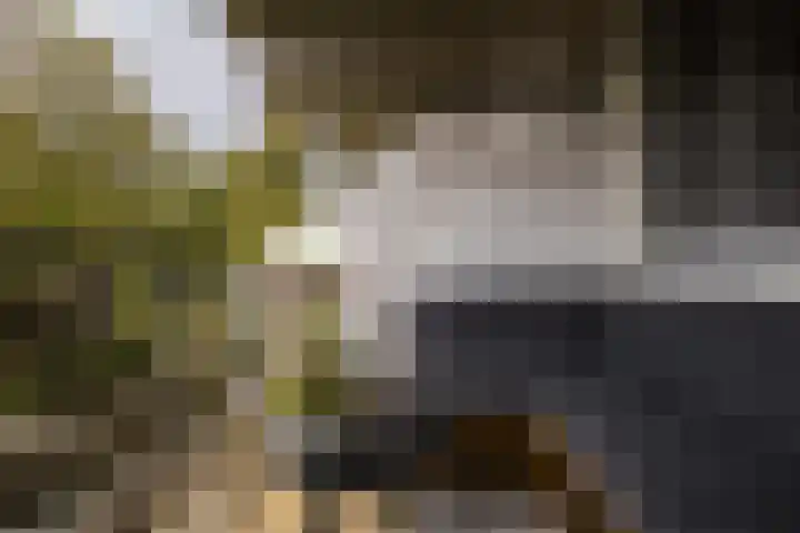 Oldambt 4 A Utrecht thumbnail 4