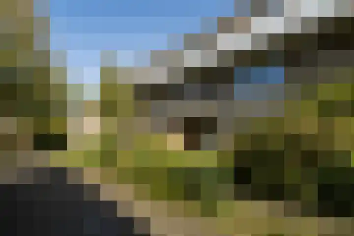 Oldambt 4 A Utrecht thumbnail 43