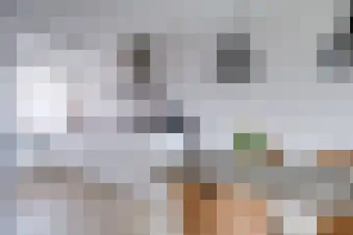 Oldambt 4 A Utrecht thumbnail 5