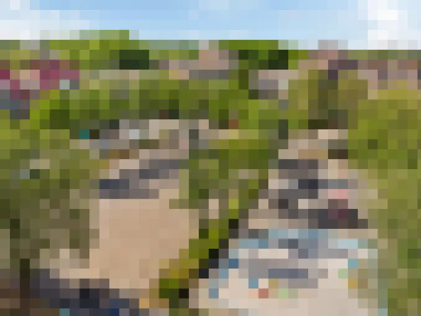 Oldambt 49 Utrecht thumbnail 32