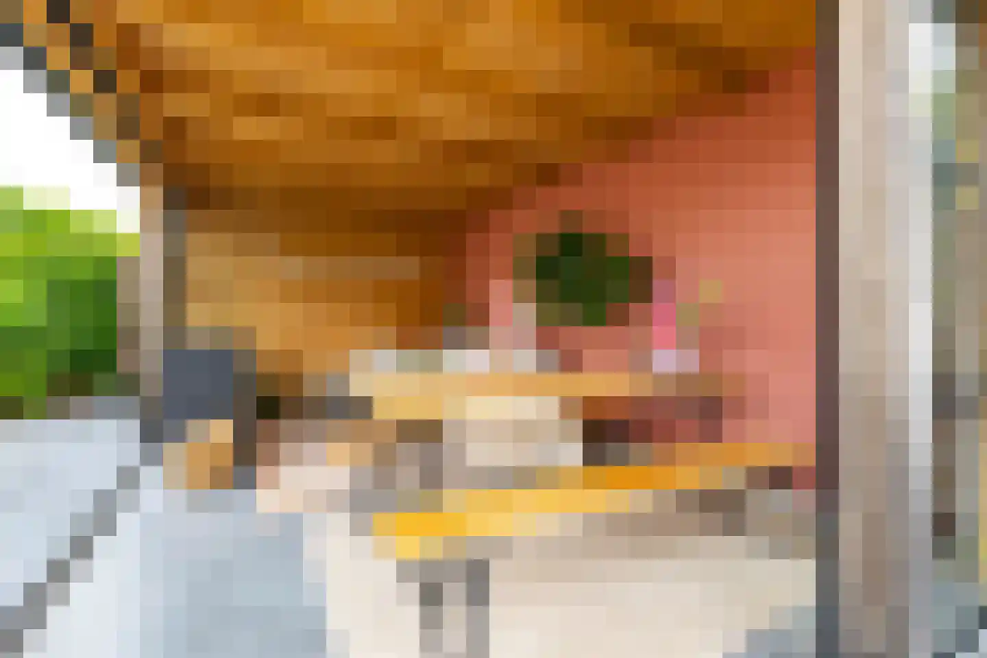 Oldambtlaan 16 Groningen thumbnail 35