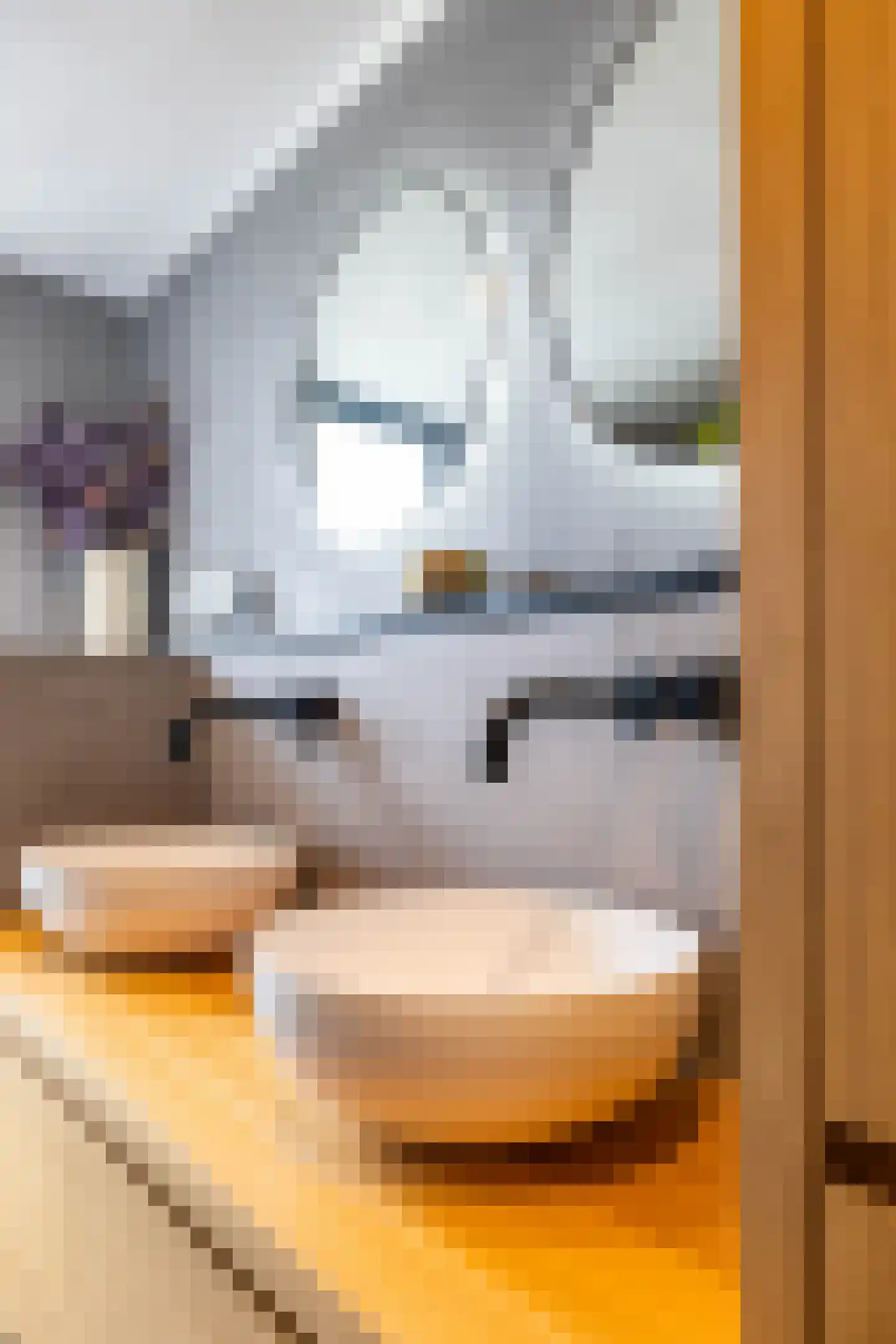 Oldambtlaan 16 Groningen thumbnail 68