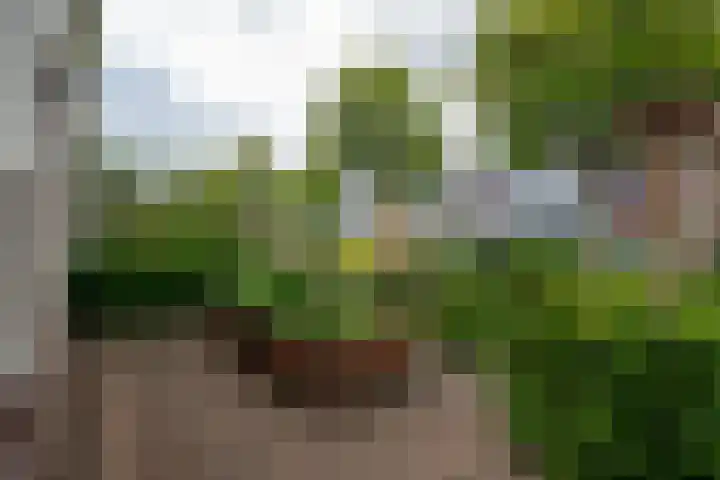 Oldambtlaan 18 Groningen thumbnail 12