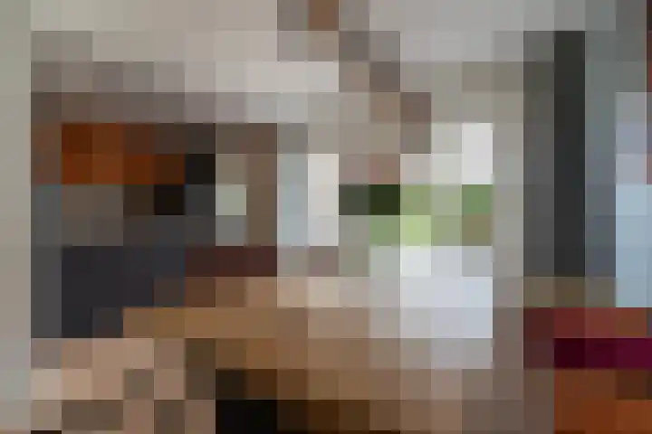 Oldambtlaan 18 Groningen thumbnail 22