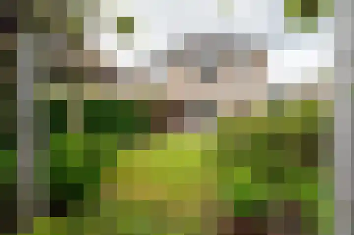 Oldambtlaan 18 Groningen thumbnail 46