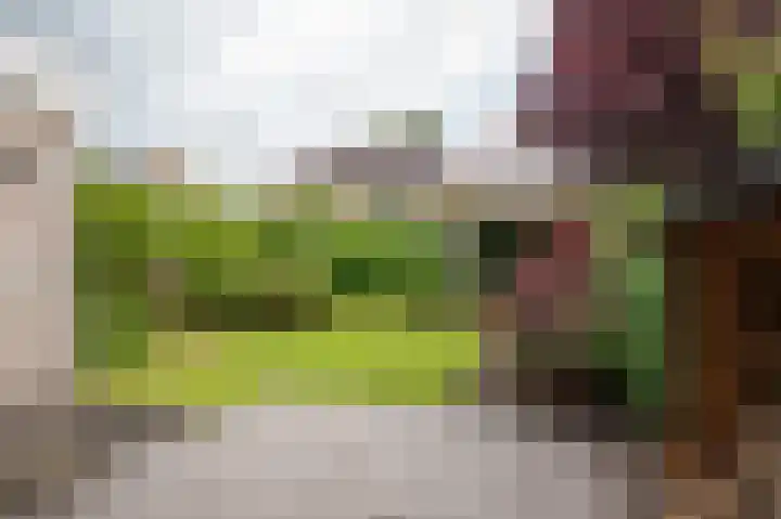 Oldambtlaan 18 Groningen thumbnail 47
