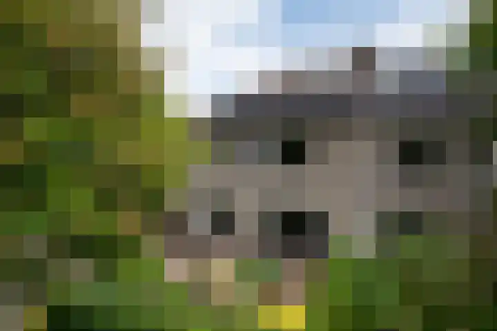 Oldambtlaan 18 Groningen thumbnail 5