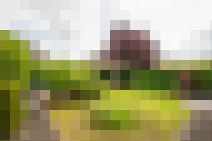 Oldambtlaan 18 Groningen thumbnail 51