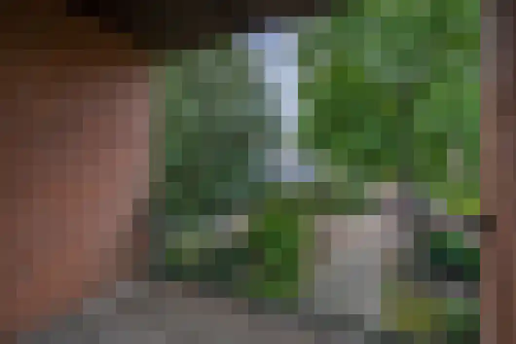 Oldambtlaan 31 Muntendam thumbnail 34