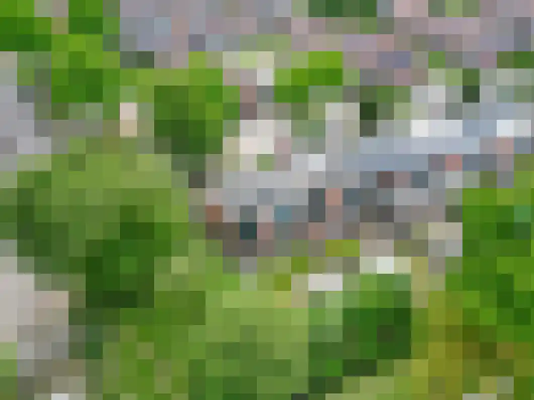 Oldambtlaan 31 Muntendam thumbnail 43