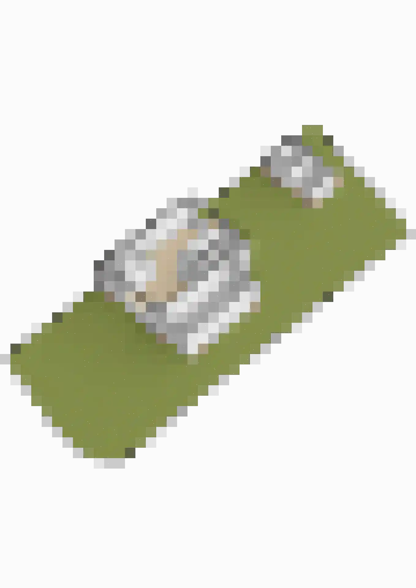 Oldambtlaan 31 Muntendam thumbnail 53