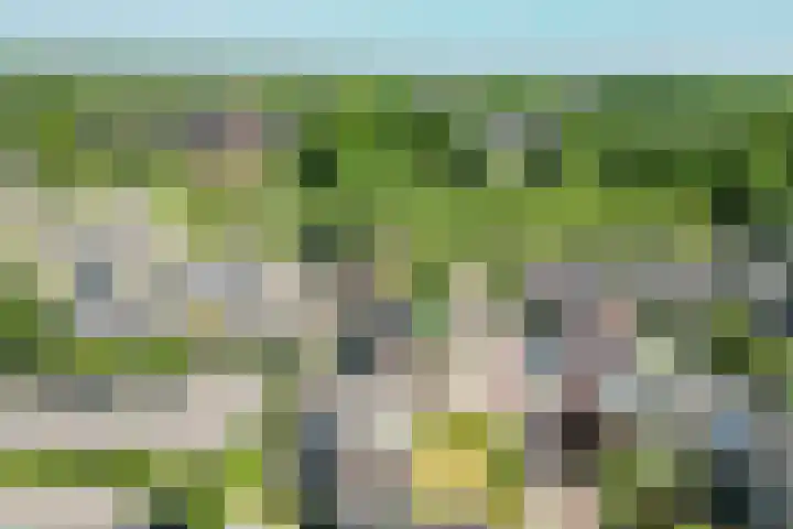 Oldambtsterlaan 15 Stadskanaal thumbnail 57