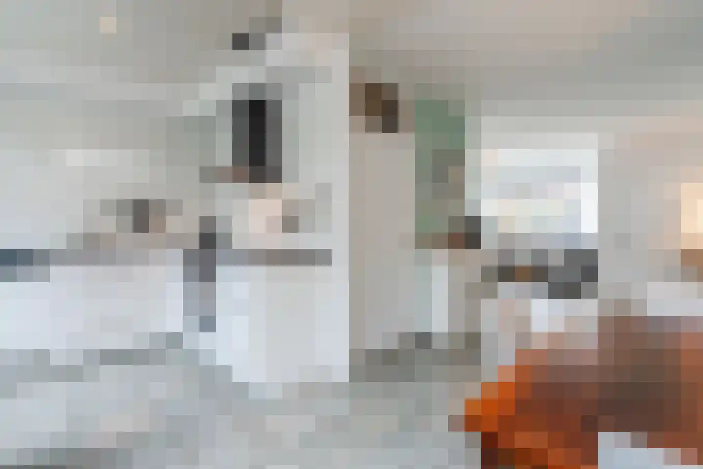 Oldambtstraat 4 Eindhoven thumbnail 16