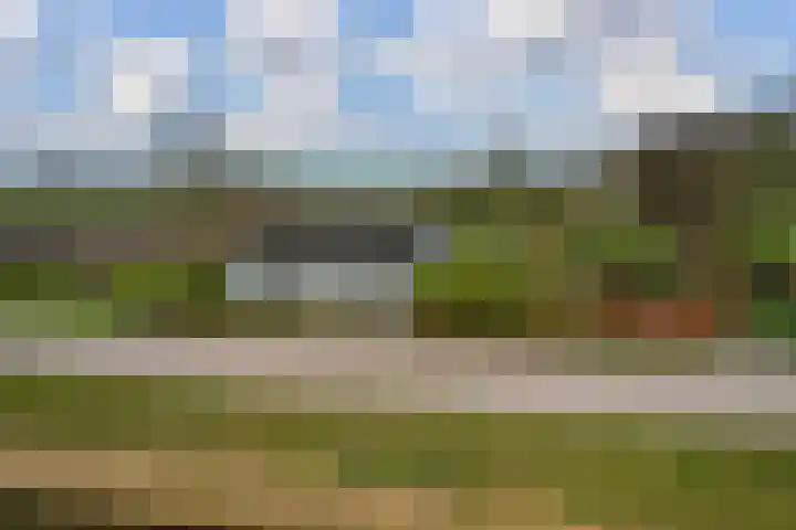 Olde Borchweg 55 Munnekezijl thumbnail 43